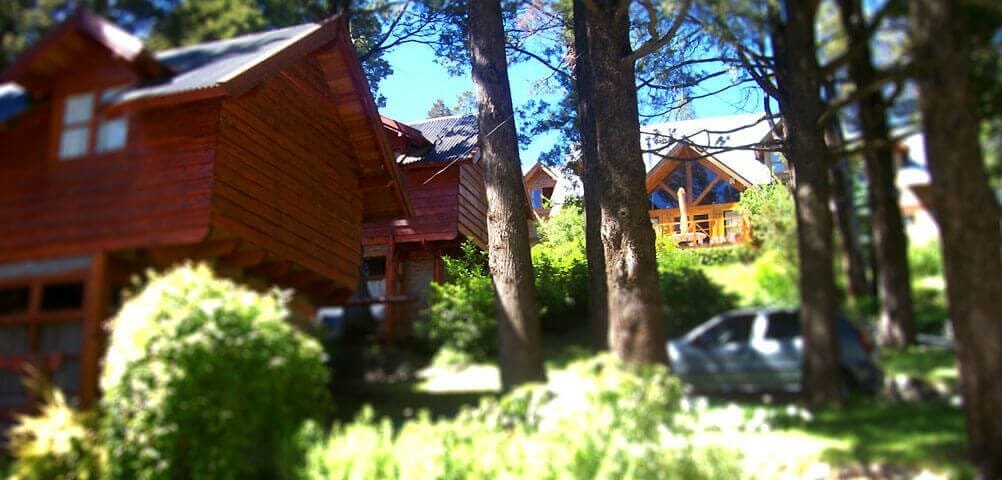 Entre pinos y cipreses