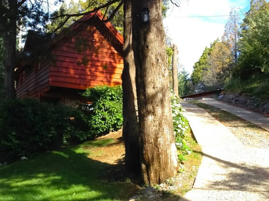 El camino entre los árboles